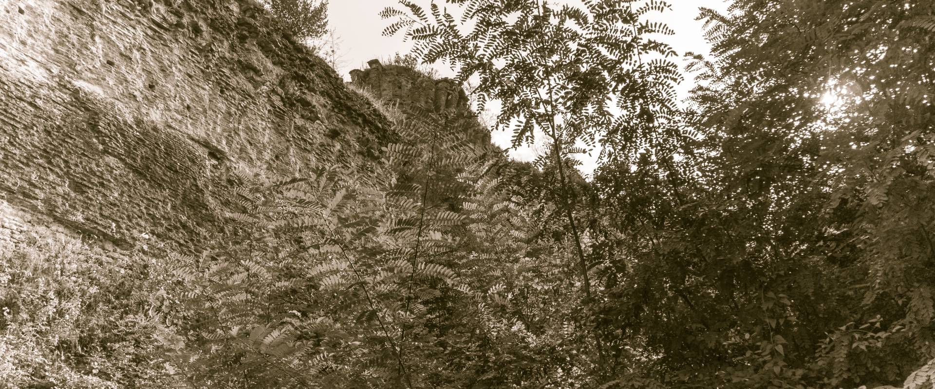 La rocca di Castrocaro da dietro-2 foto di Massimo Saviotti